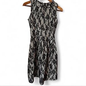 HD in Paris Black Lace Mini Dress